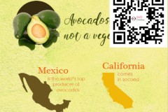 benefits-of-avocado-small-qr