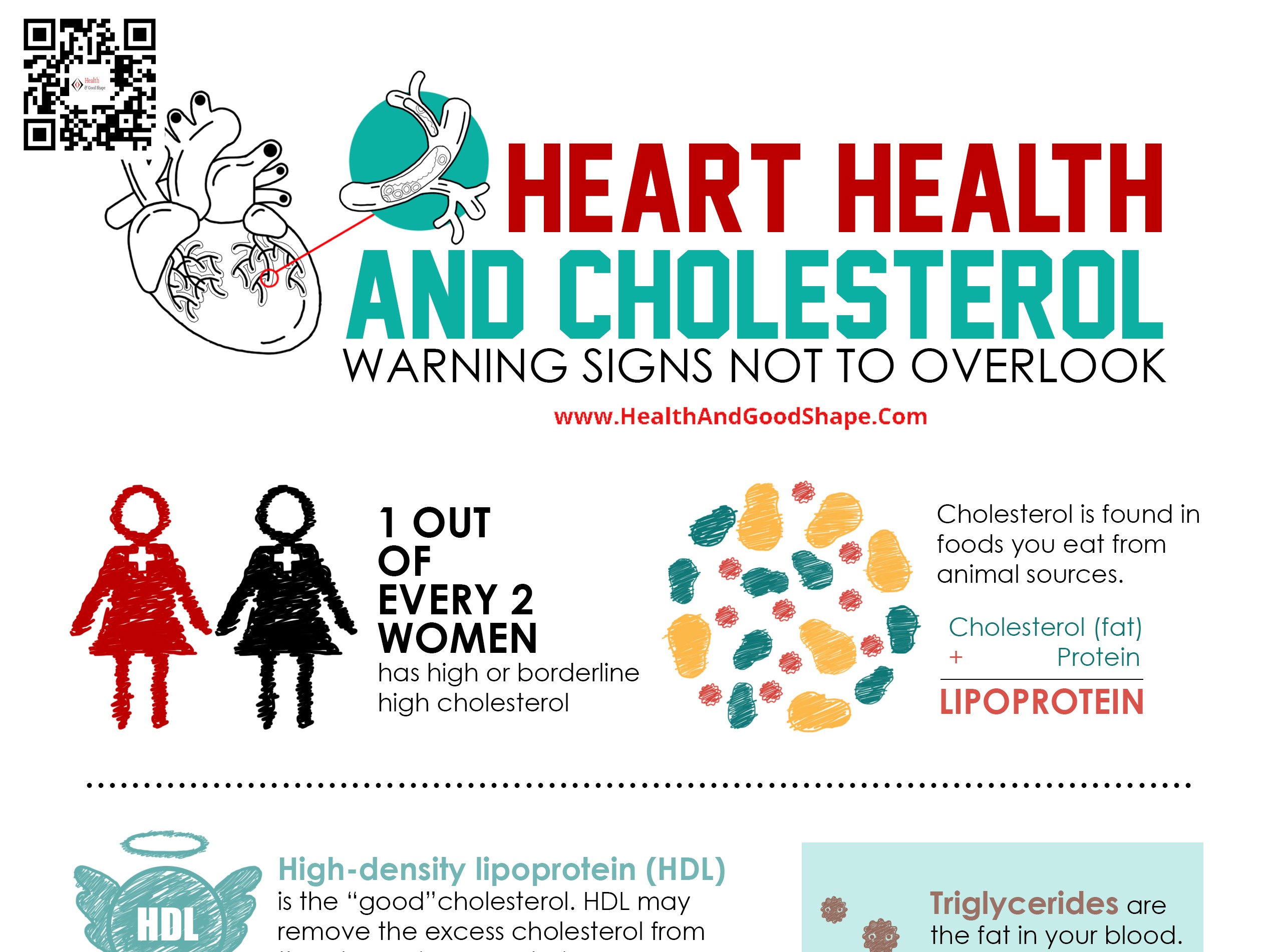 Heart Health and Cholesterol Infographic