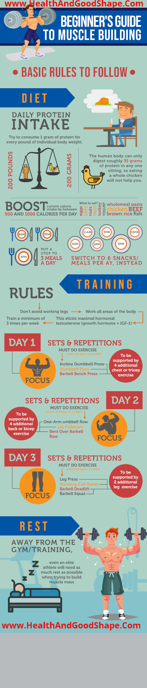 Muscle Building_1 infographic
